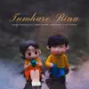 Amit S & Midi Boy - Tumhare Bina - Single